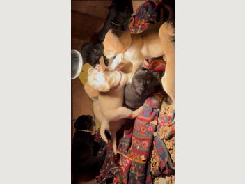 Image 1 of 6