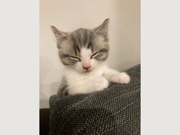 Image 1 of 19