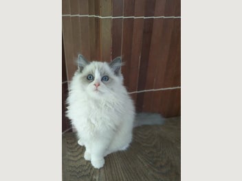 Image 1 of 19