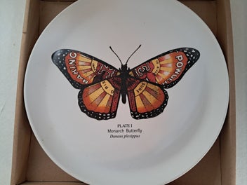 Image 1 of 8