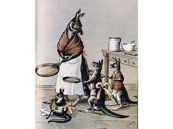 Image 1 of 8