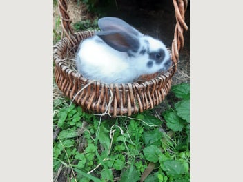 Image 1 of 6