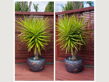 Image 1 of 4