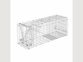 Image 1 of 7