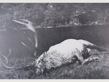 Image 1 of 20