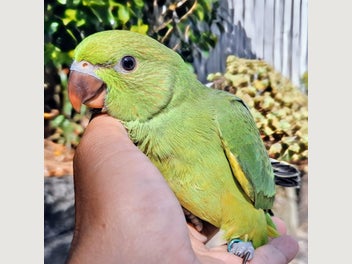 Image 1 of 10