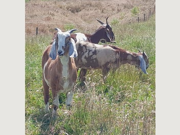 Image 1 of 11