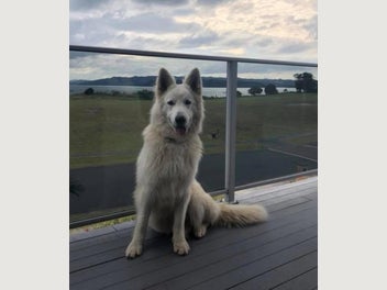 Image 1 of 8