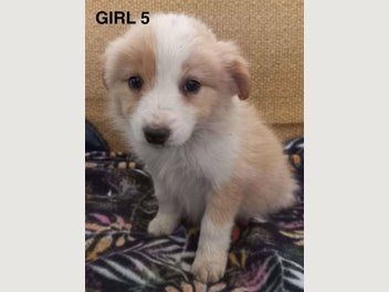 Image 1 of 20