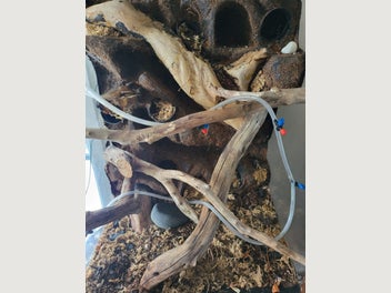 Image 1 of 8