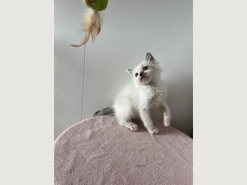 Image 1 of 20