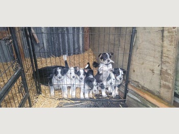 Image 1 of 13