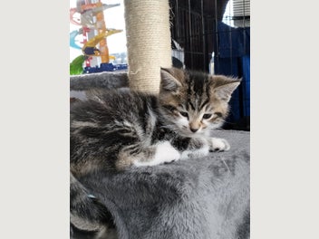 Image 1 of 16