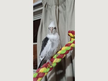 Image 1 of 4