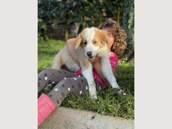 Image 1 of 15
