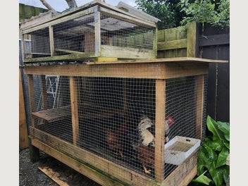 Image 1 of 4