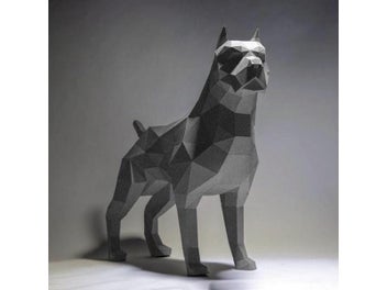 Image 1 of 7