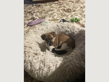Image 1 of 10