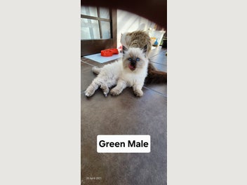 Image 1 of 10