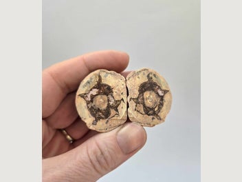 Image 1 of 2