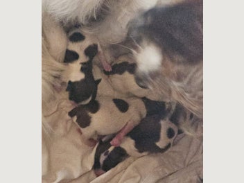 Image 1 of 3