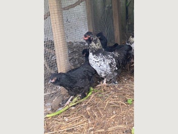 Image 1 of 8