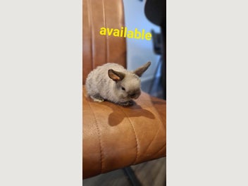 Image 1 of 7