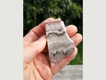 Image 1 of 8