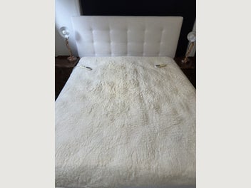 Image 1 of 12