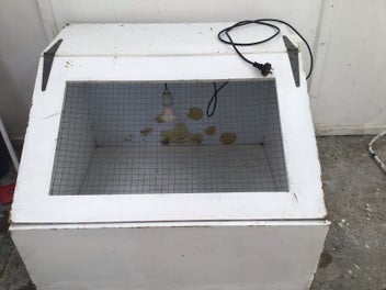 Image 1 of 7