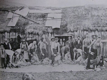 Image 1 of 20