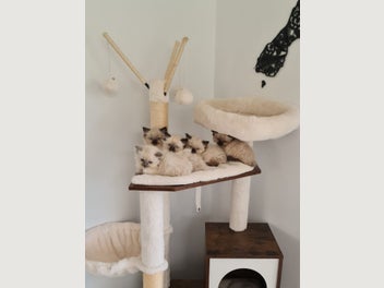 Image 1 of 15