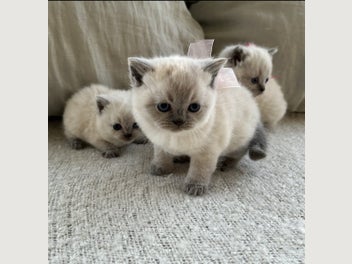 Image 1 of 20