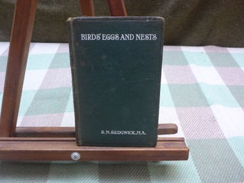 Image 1 of 9