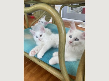 Image 1 of 19