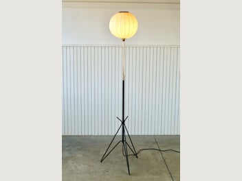 Image 1 of 15