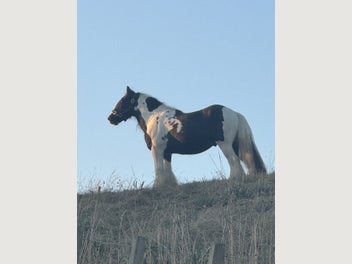 Image 1 of 19
