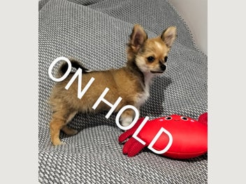 Image 1 of 10