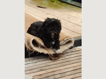 Image 1 of 8