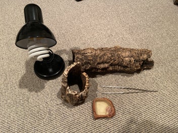 Image 1 of 5