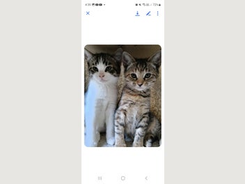Image 1 of 10