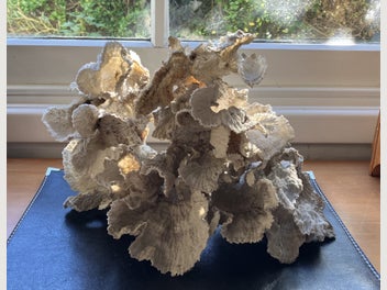 Image 1 of 15