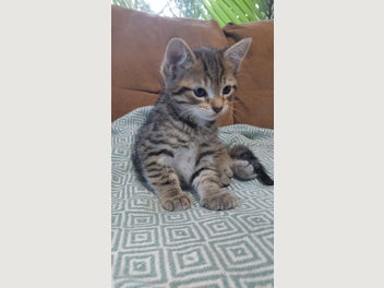 Image 1 of 8