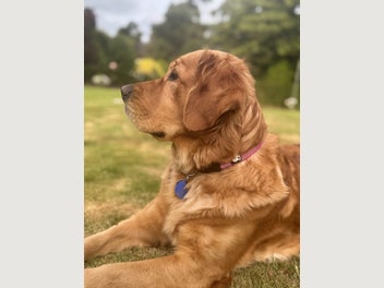 Image 1 of 18