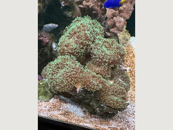 Image 1 of 20