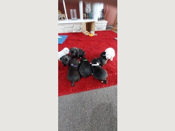 Image 1 of 7