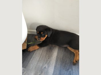 Image 1 of 19