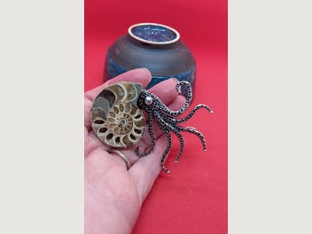 Image 1 of 5