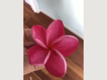 Image 1 of 9
