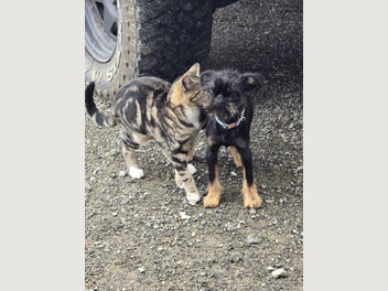 Image 1 of 5